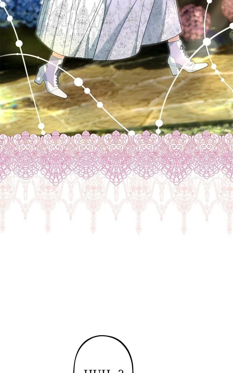 157881c23f96