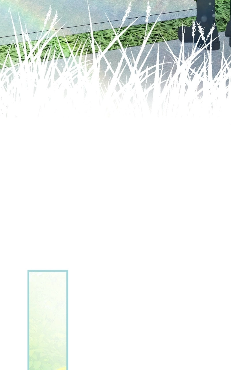 ef4f29dcd52a