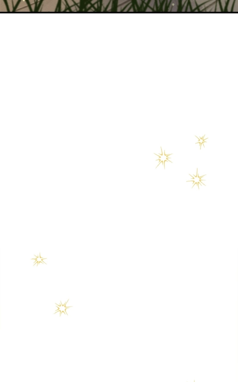 fe9f904b7ff6