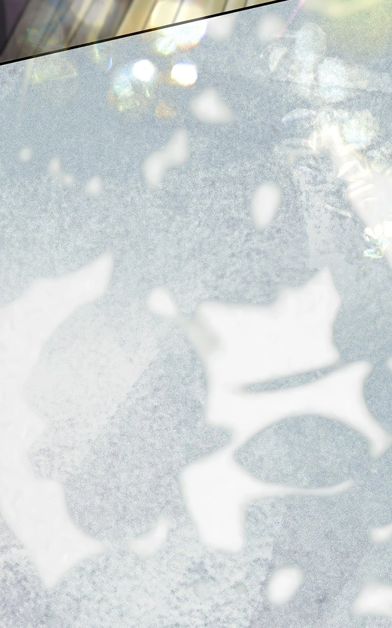 12b6378c3a05