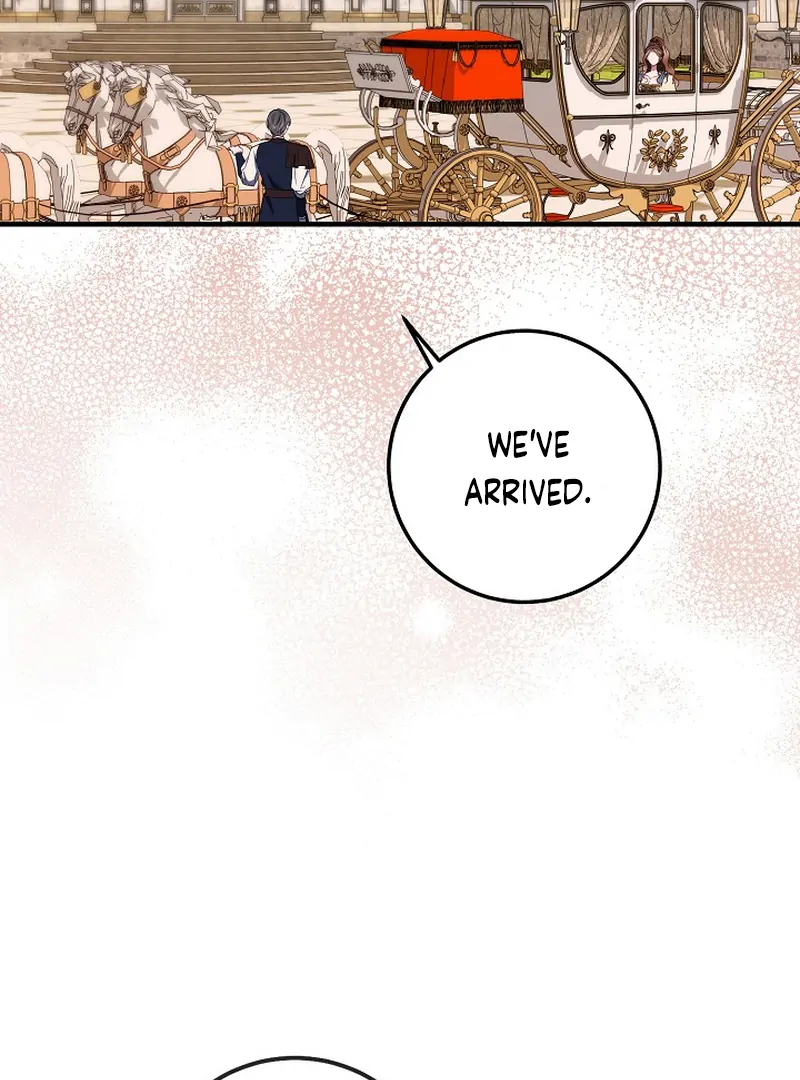 ch 19 109