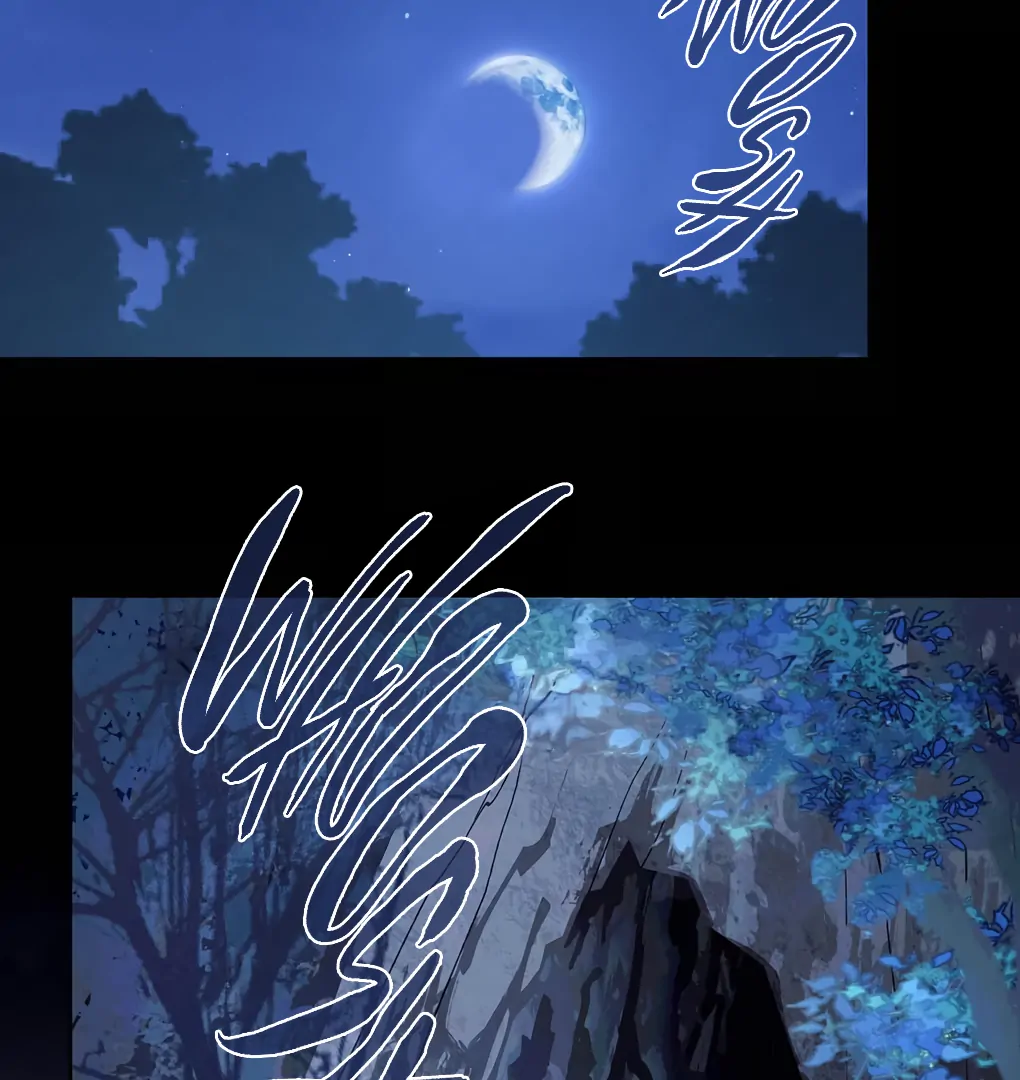 ch 11 5
