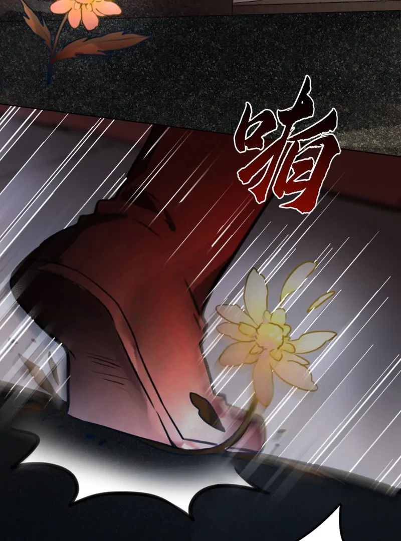 ch 2 5