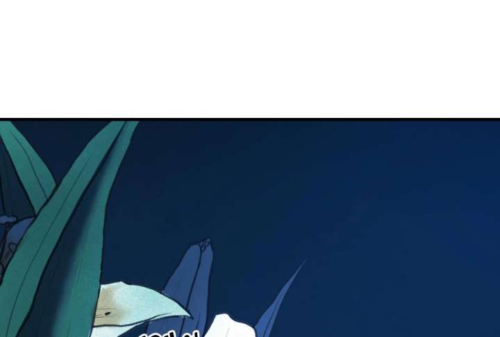 243