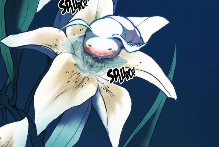244