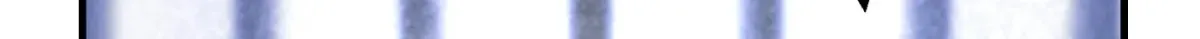 3cd71c09eabe