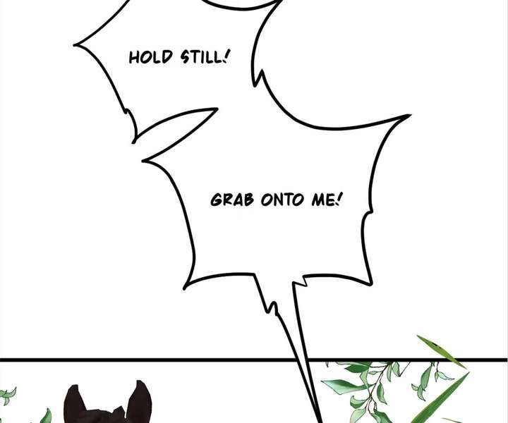 ch 35 74
