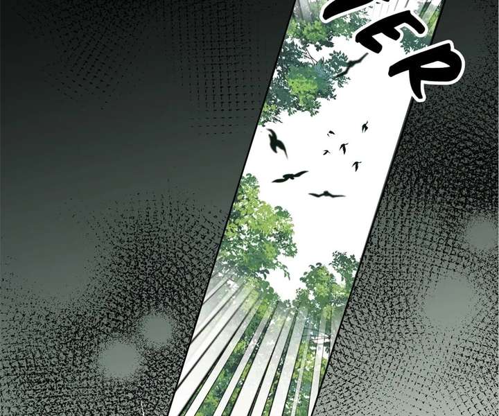 ch 35 80