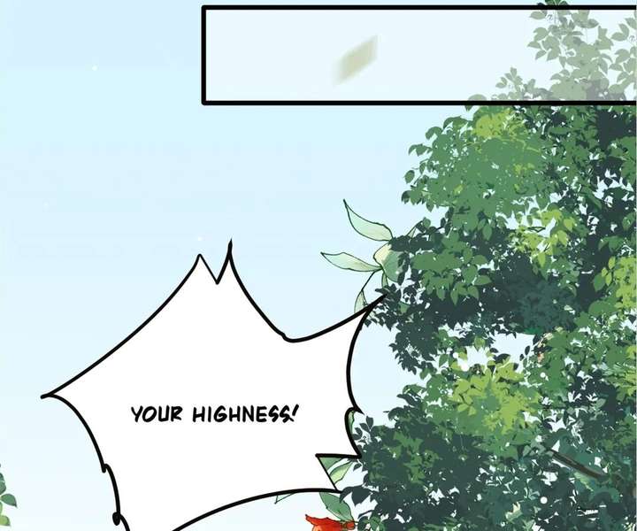 ch 35 95