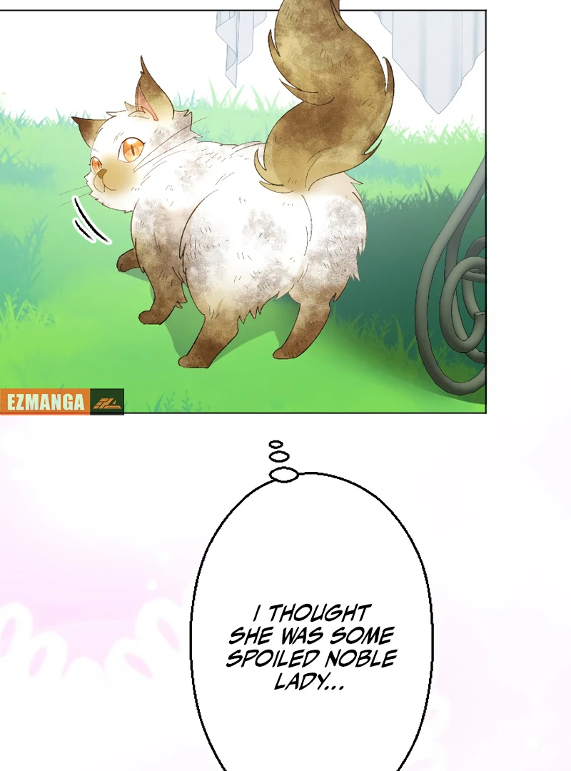 I’m Not Dead For Nothing Chapter 15 523 060