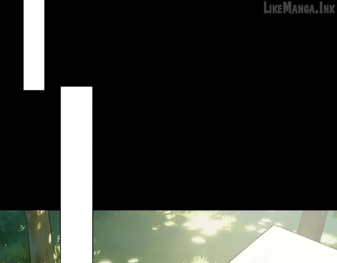 71c377e84b5b
