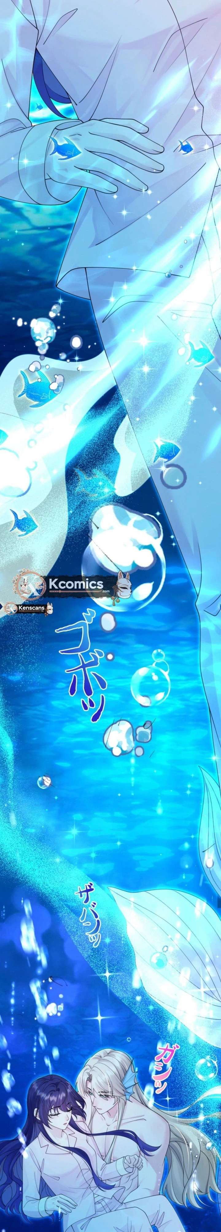 ch 24 11