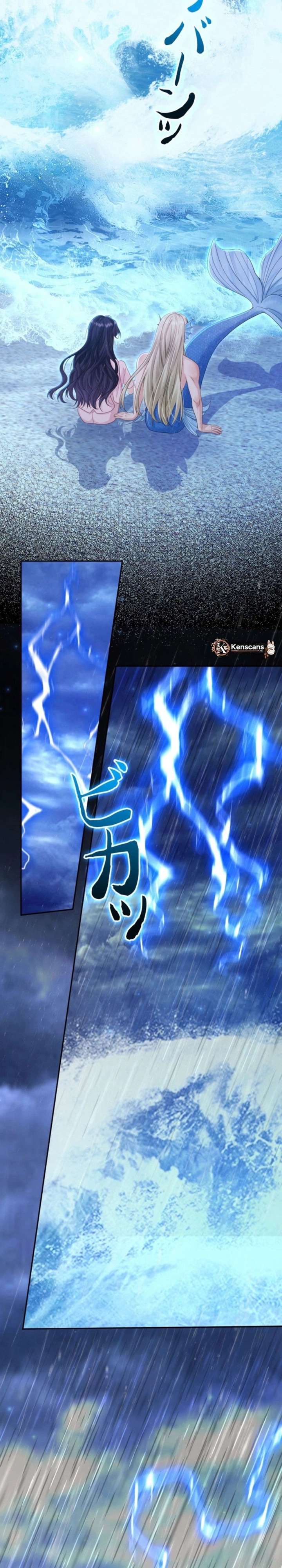 ch 24 19