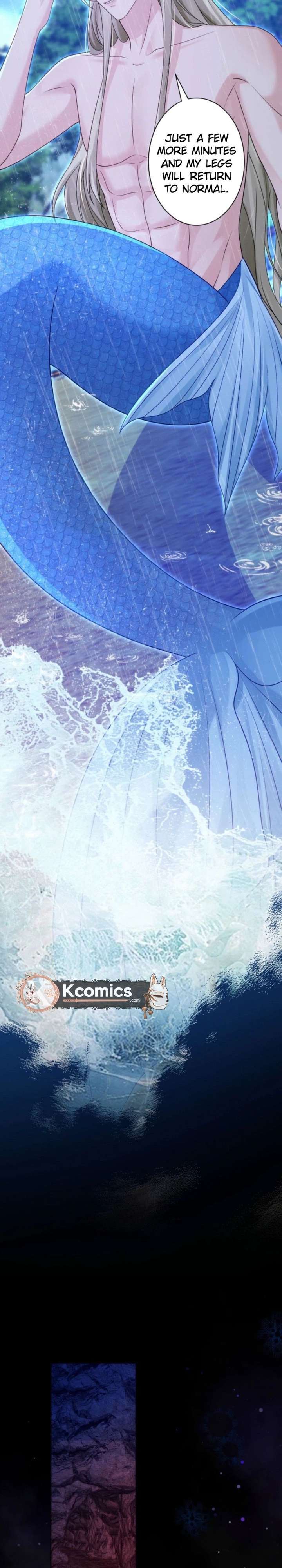 ch 24 23