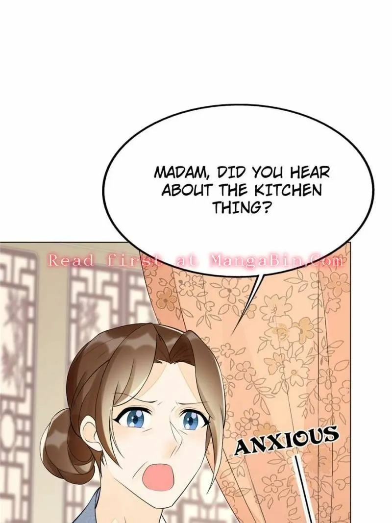 A Concubine’s Daughter and Her Tactics Chapter 27 298 47ea179f11fb