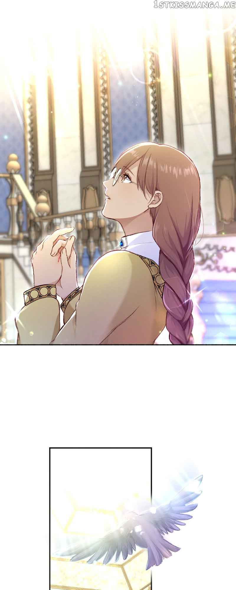 41