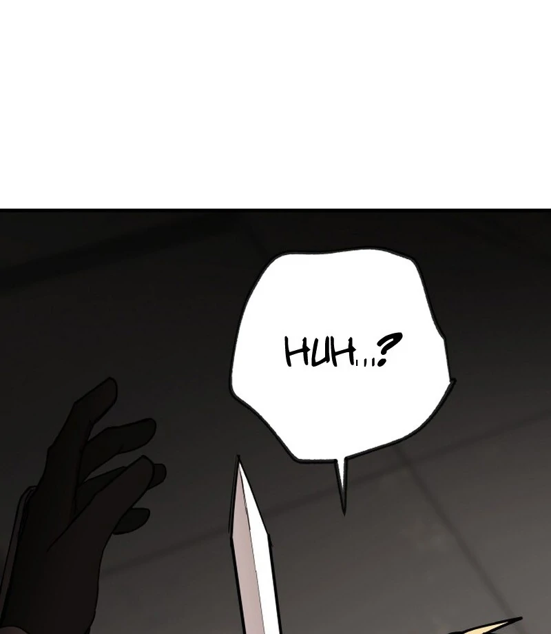 81