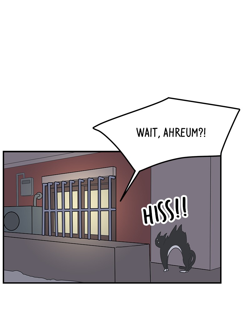 061