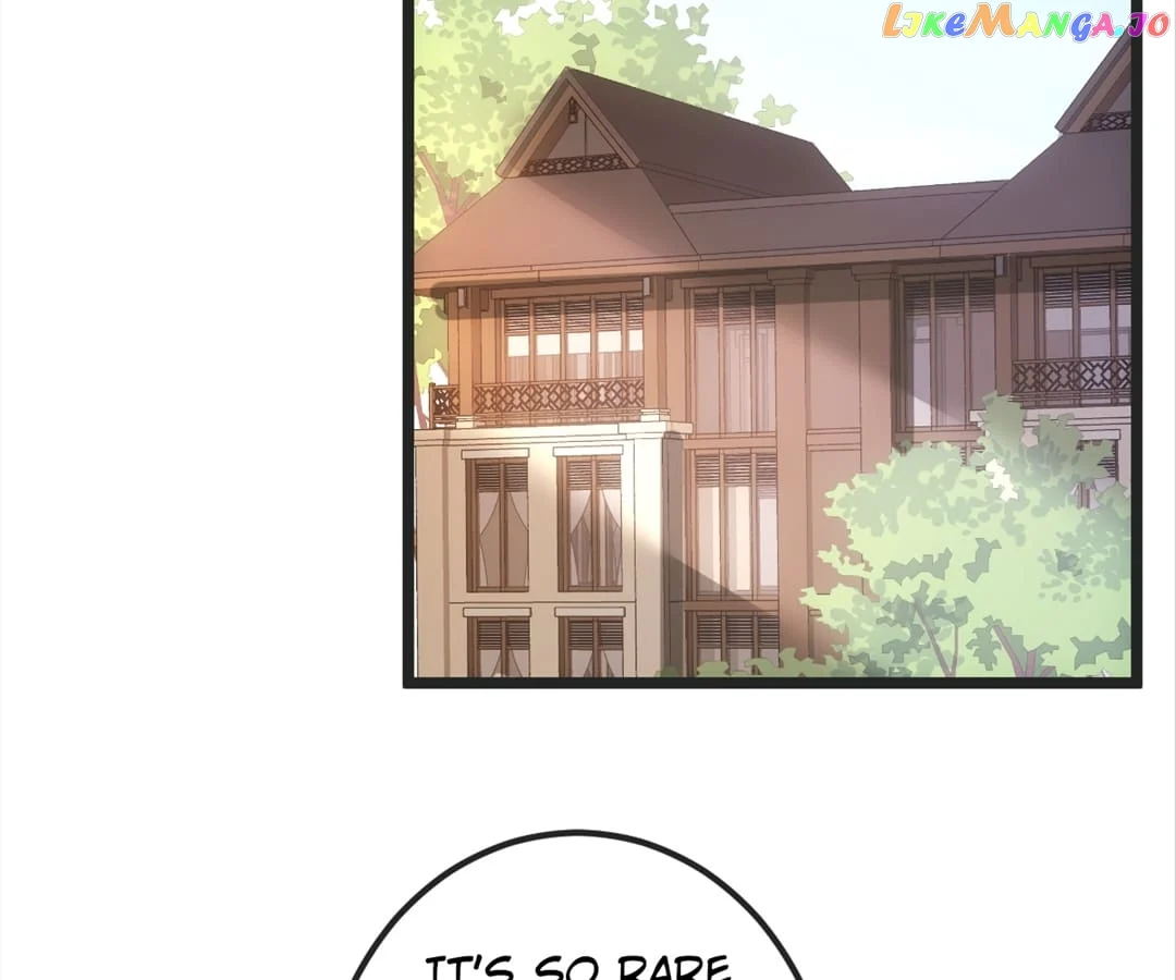 ch 81 3