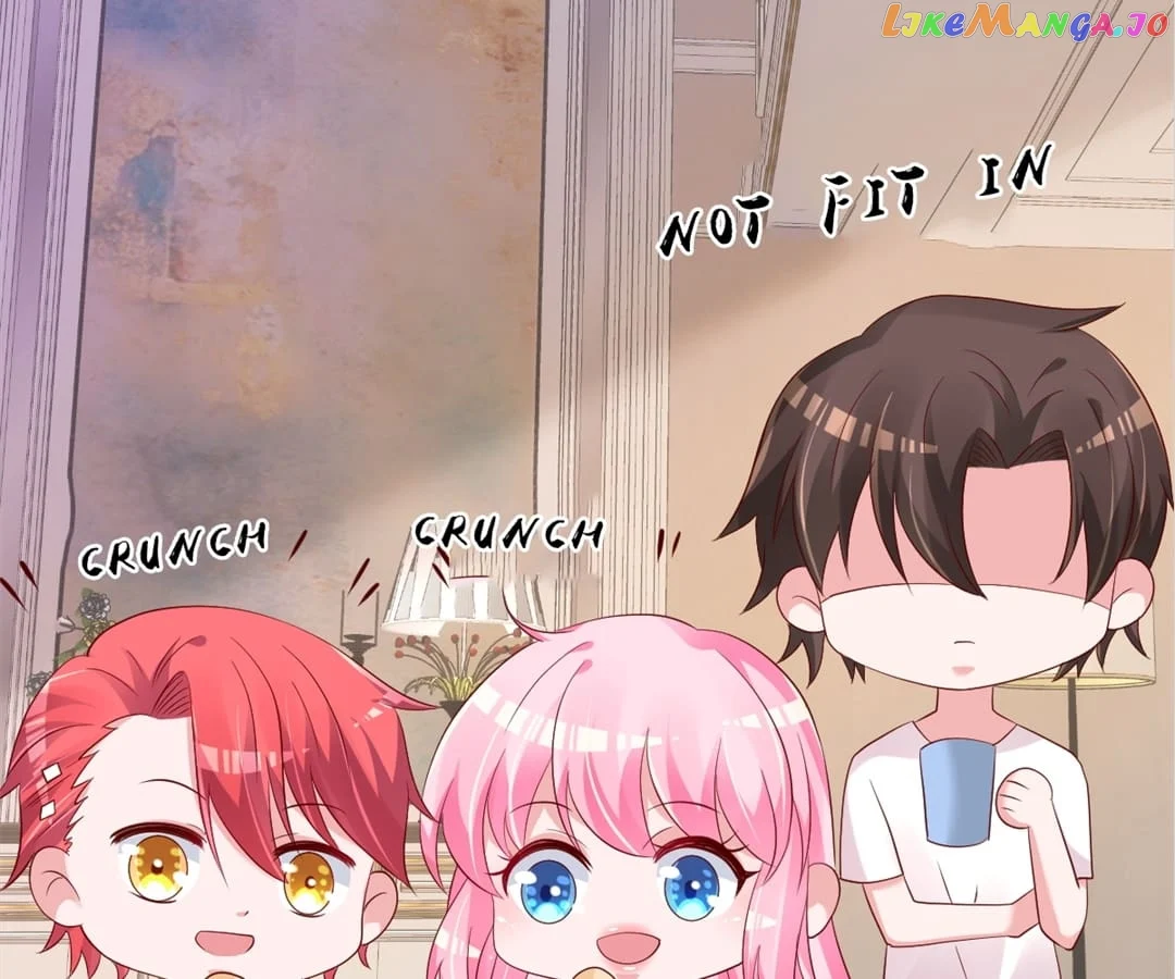 ch 81 31