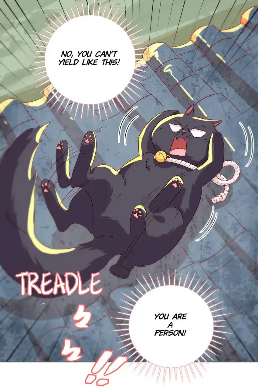 A Song Dwelling In The Clouds: Love Inside The Cage Chapter 39 136 018