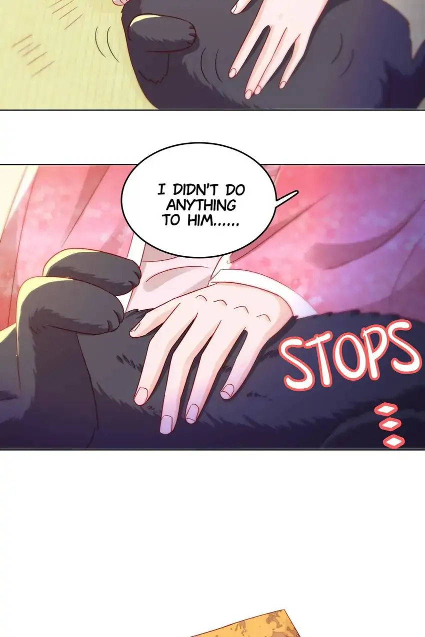 007