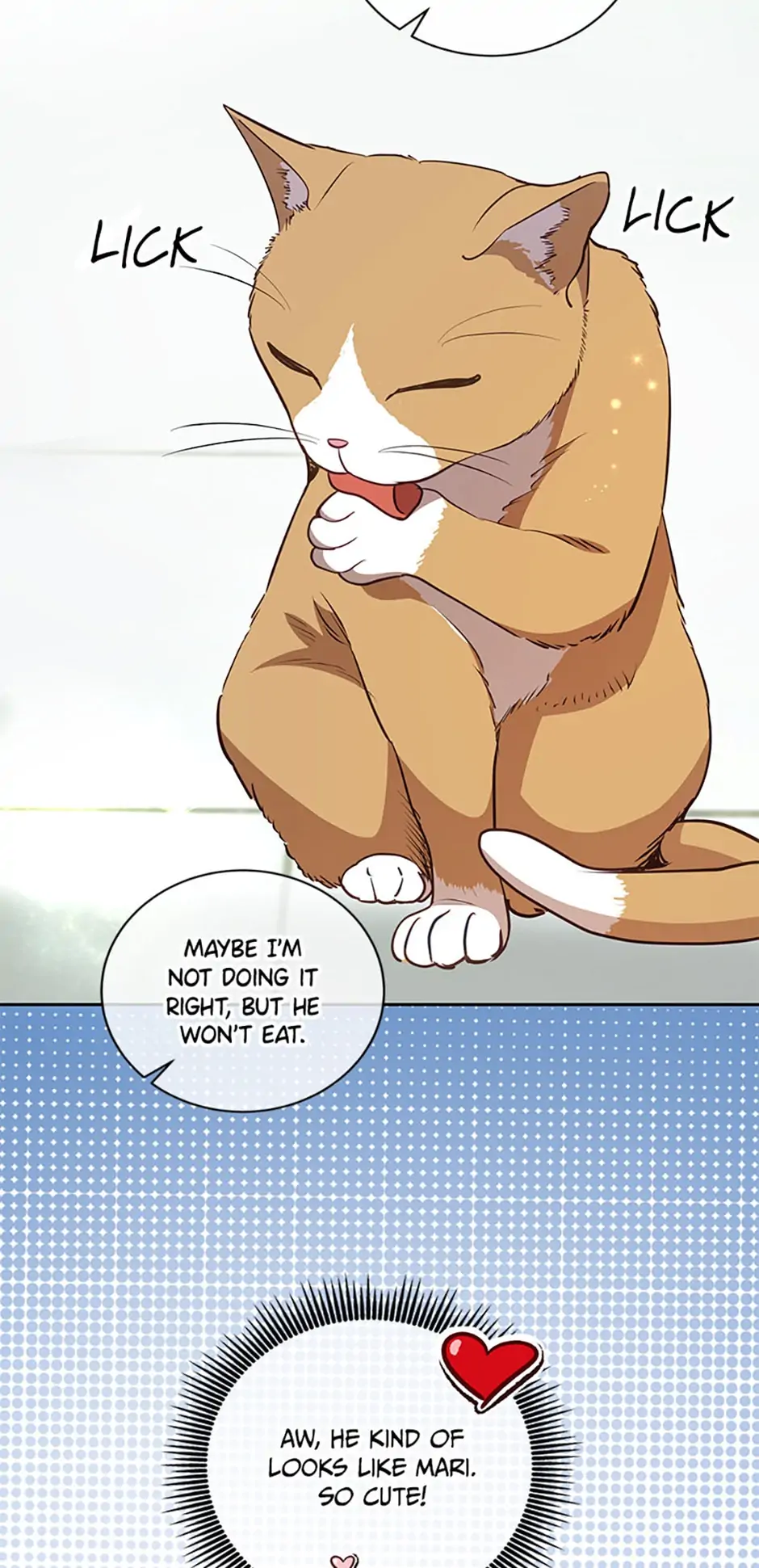 A Suspicious Confession Chapter 20 222 08