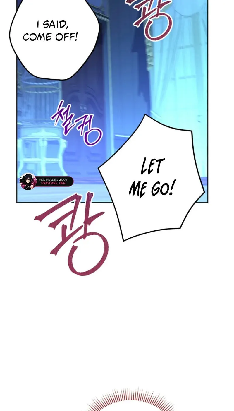 37e0751a2c8c