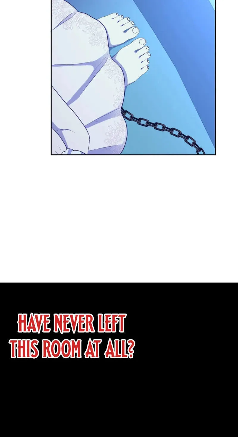 db213c2921df