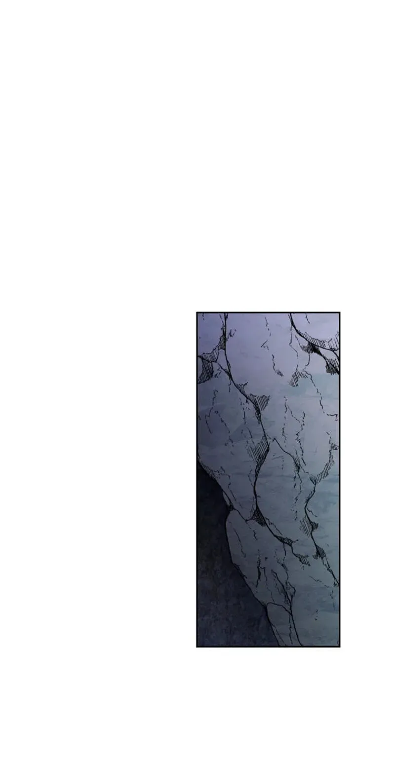 c55ed7e42f11