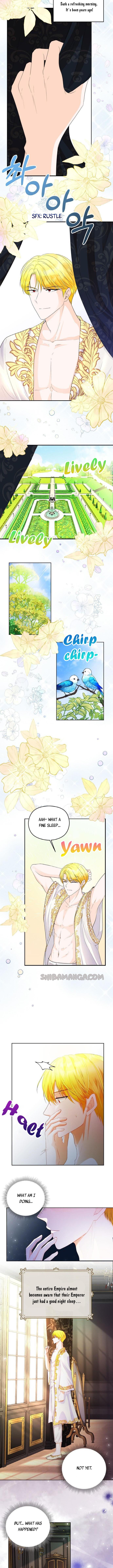 After the Insomnia Was Cured, the Tyrant Became Obsessive Chapter 4 43 2