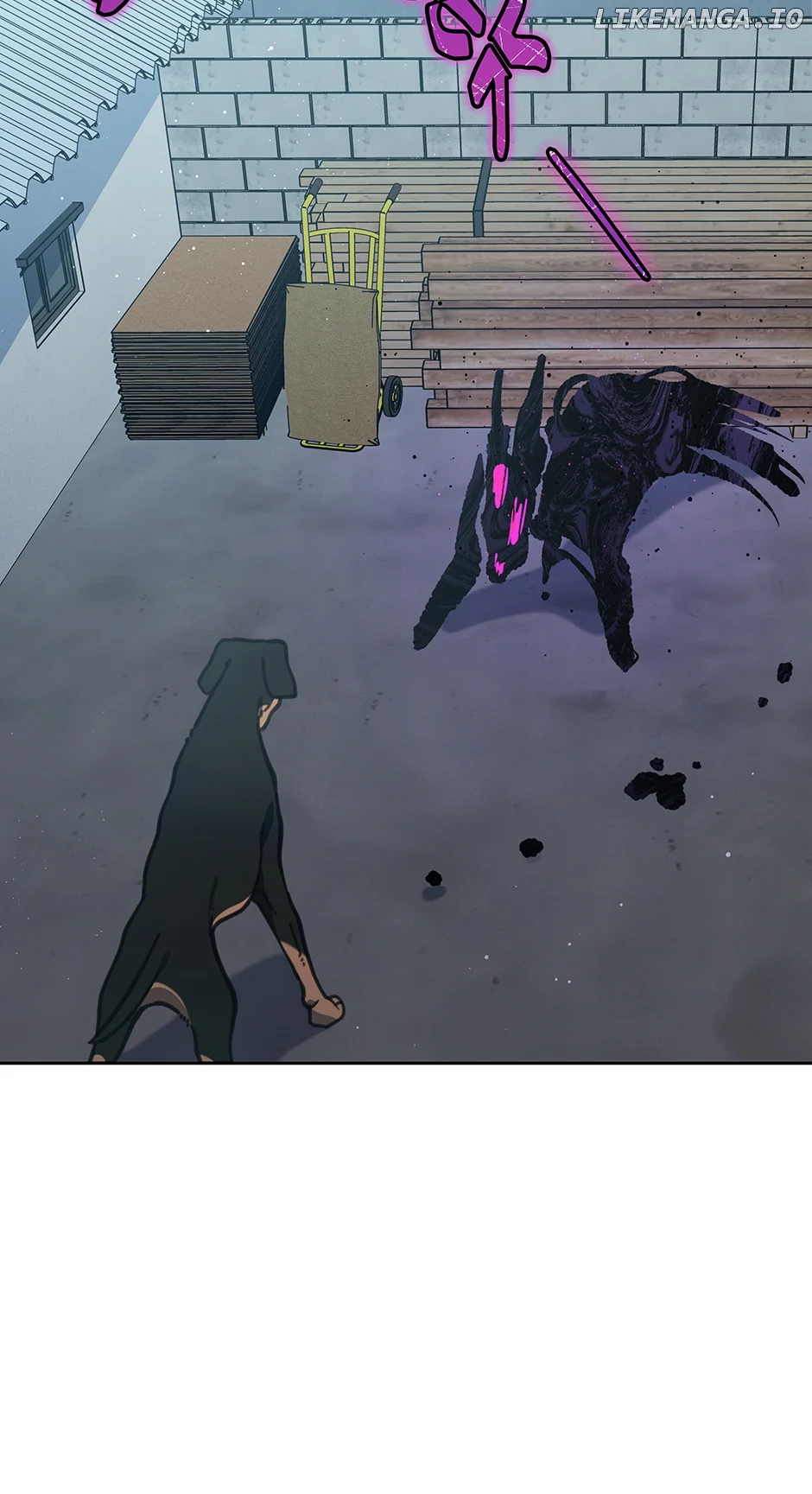 06
