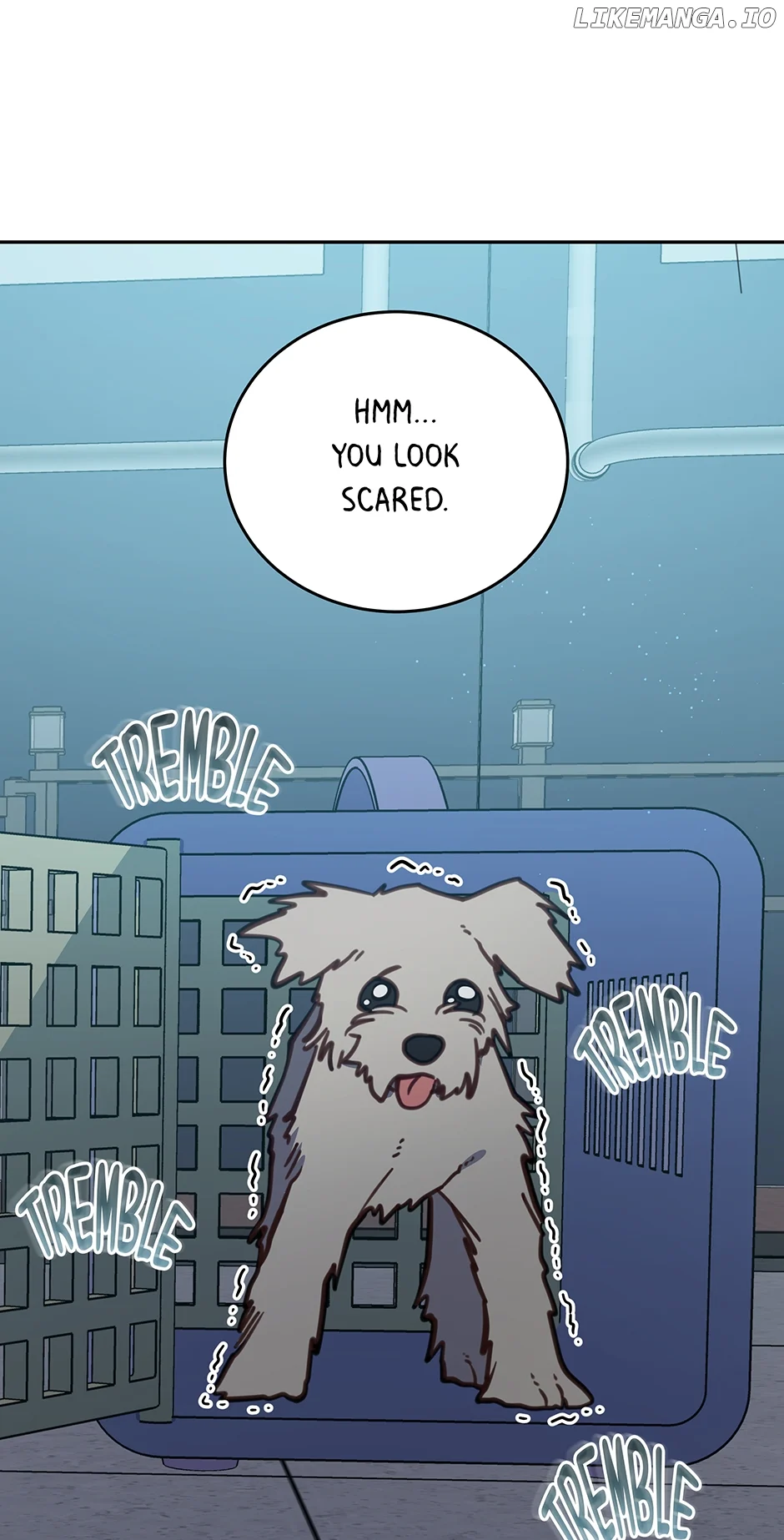 An animal hospital in the border area Chapter 105 240 48