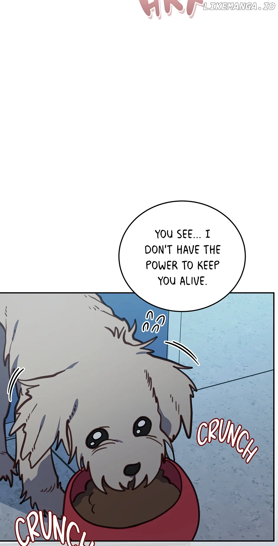 An animal hospital in the border area Chapter 105 244 52