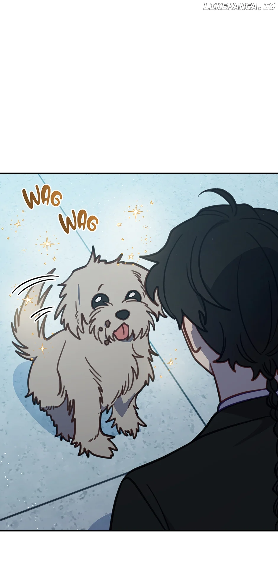 An animal hospital in the border area Chapter 105 252 60