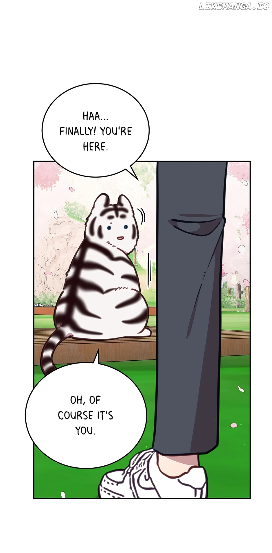 71