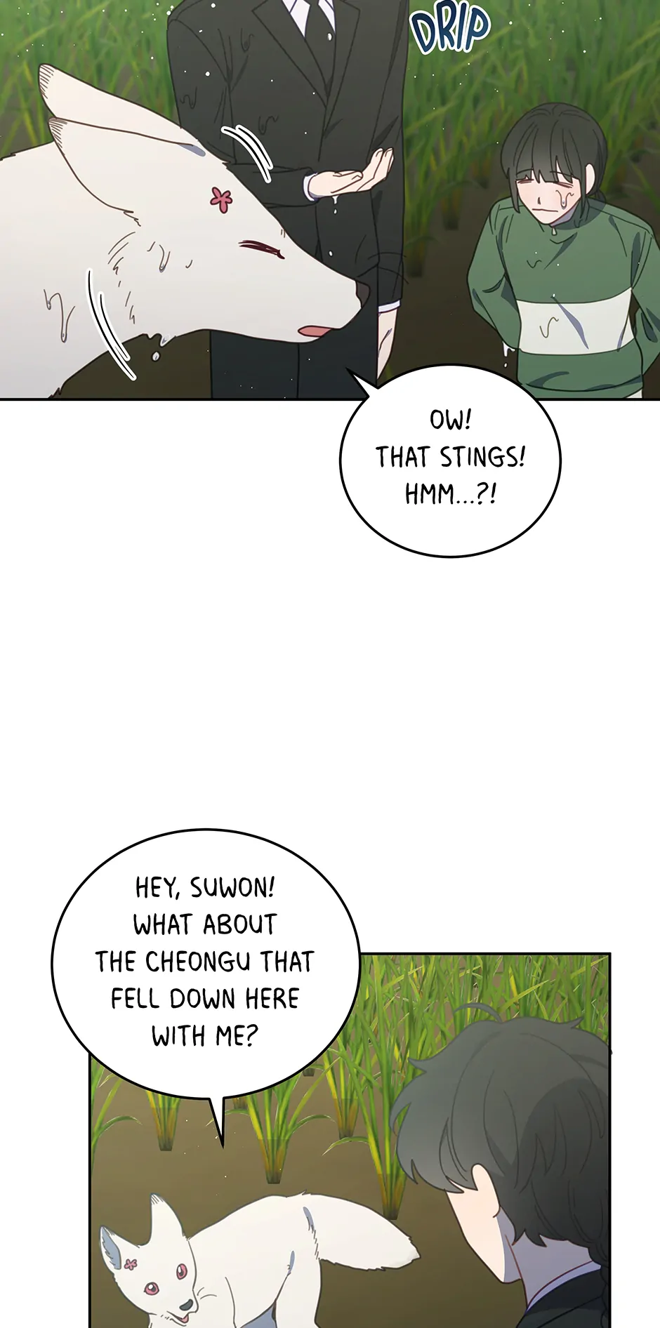 ch 115 51