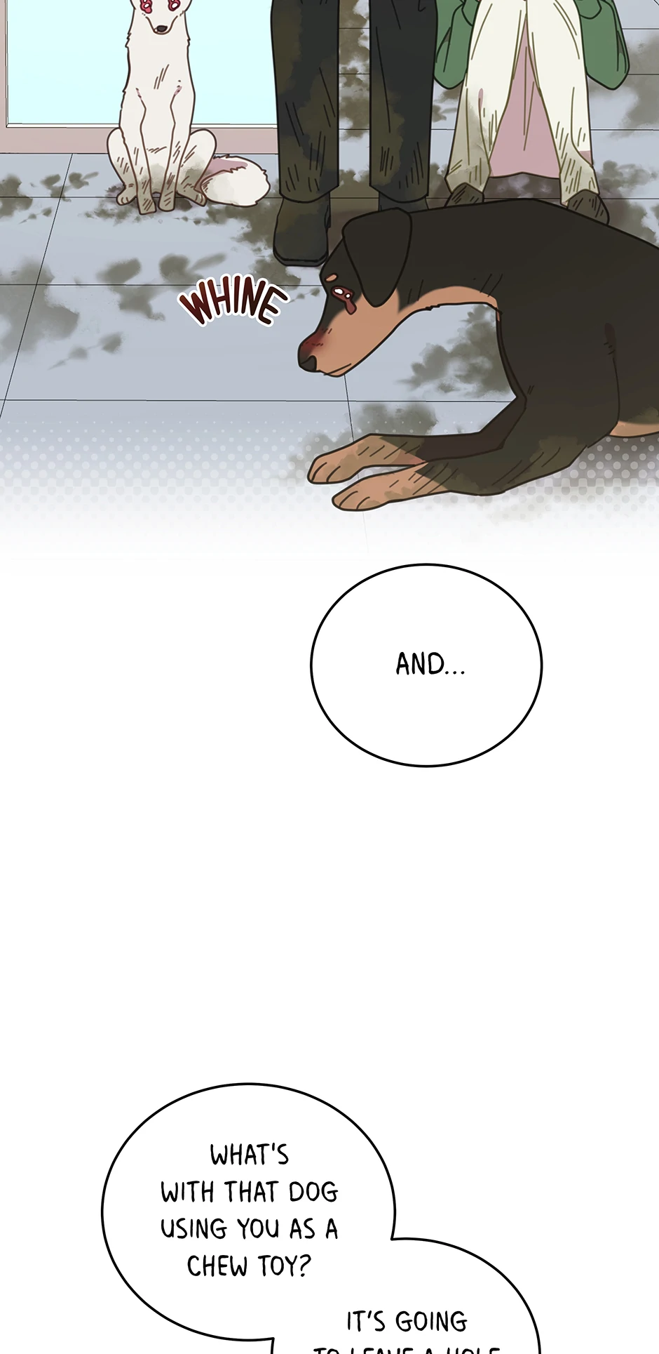 ch 115 64