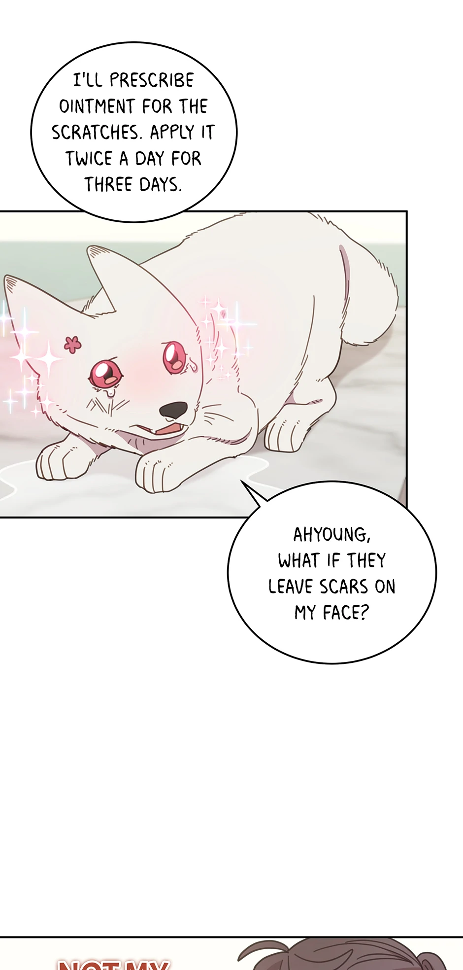ch 116 26