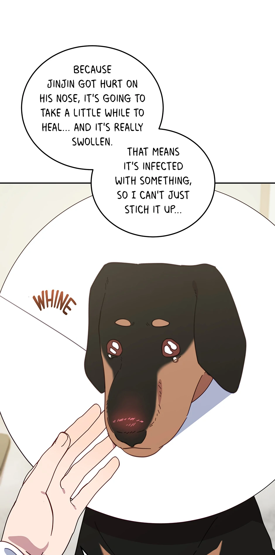 ch 116 31
