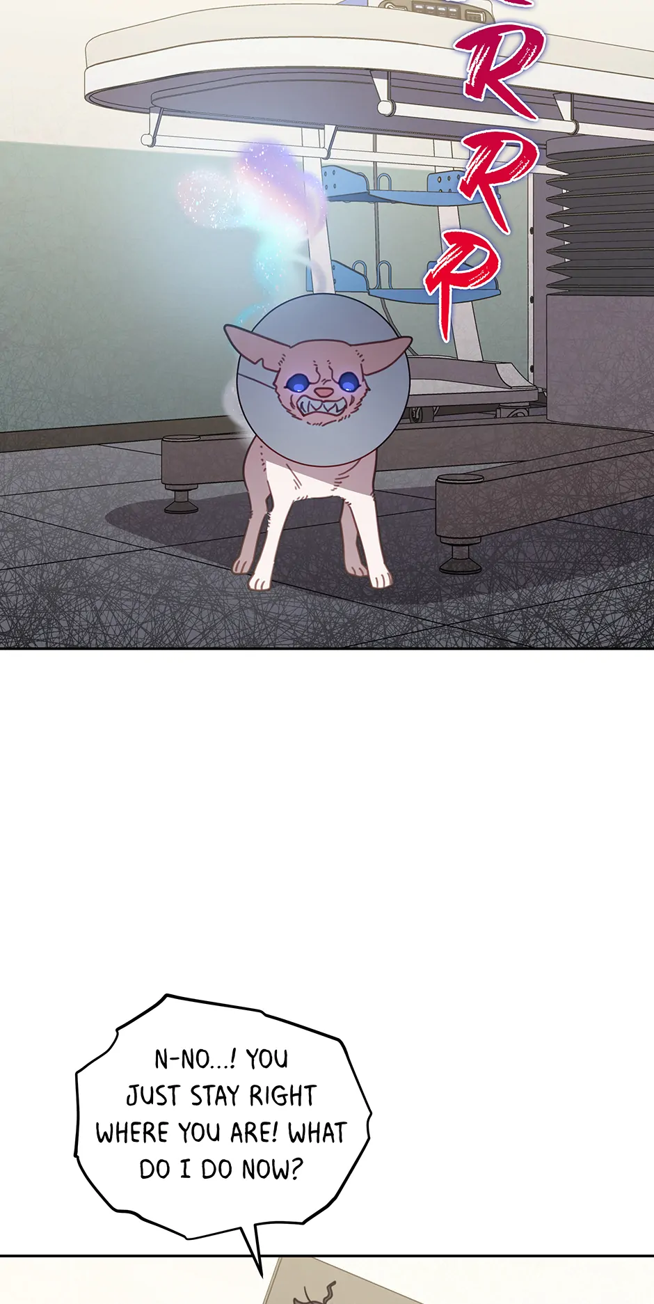ch 116 44