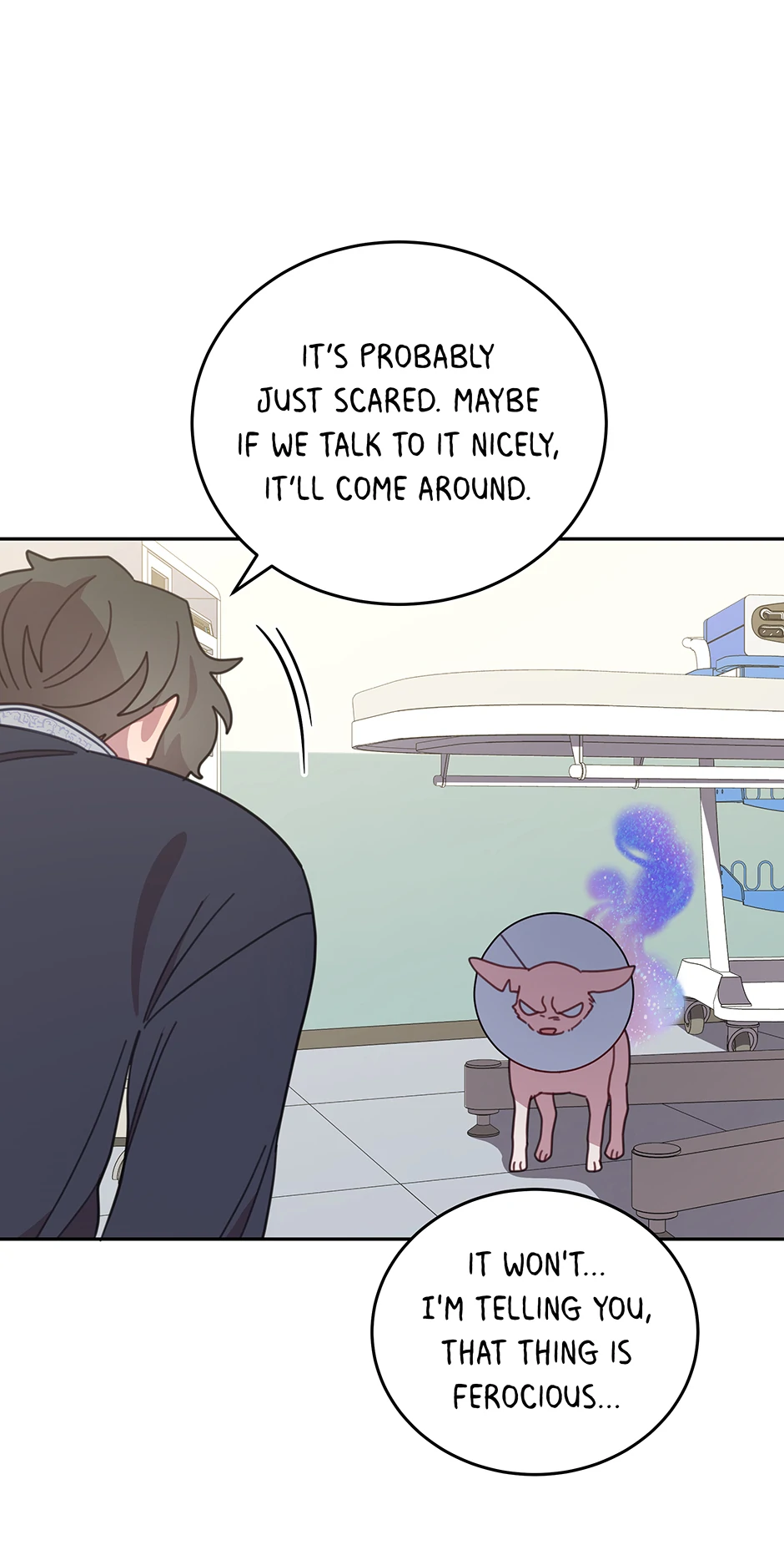 ch 116 47