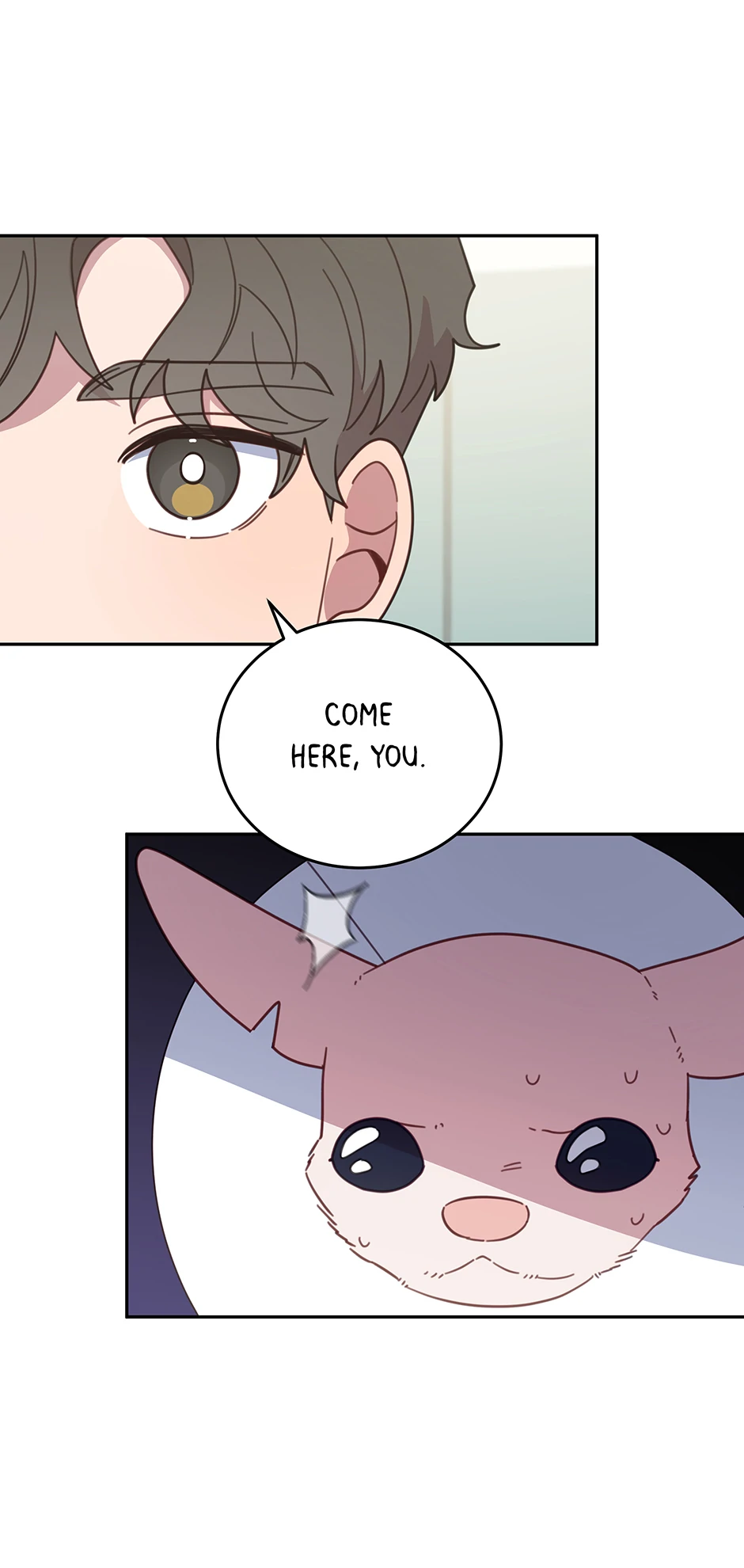 ch 116 48