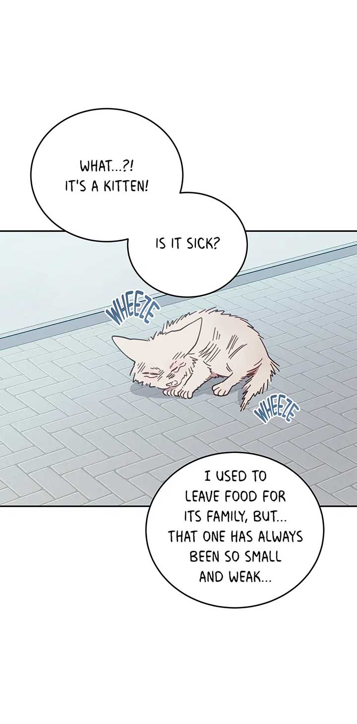ch 118 19