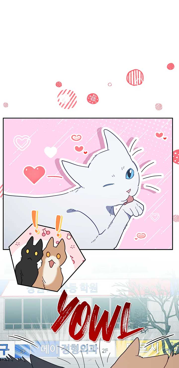 ch 118 2