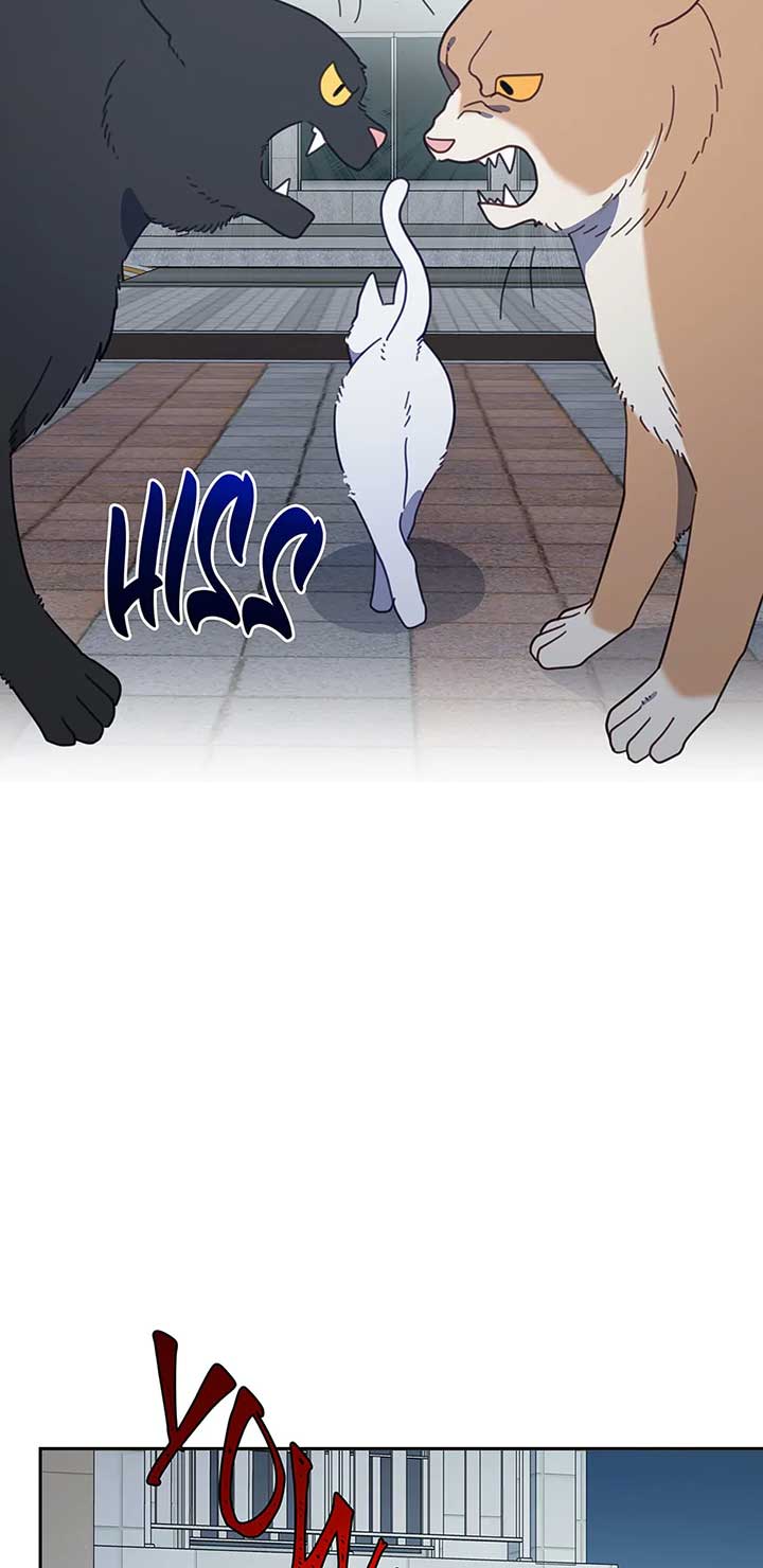 ch 118 3