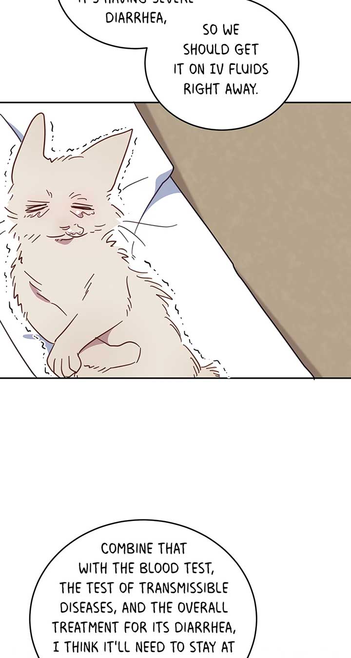 ch 118 34