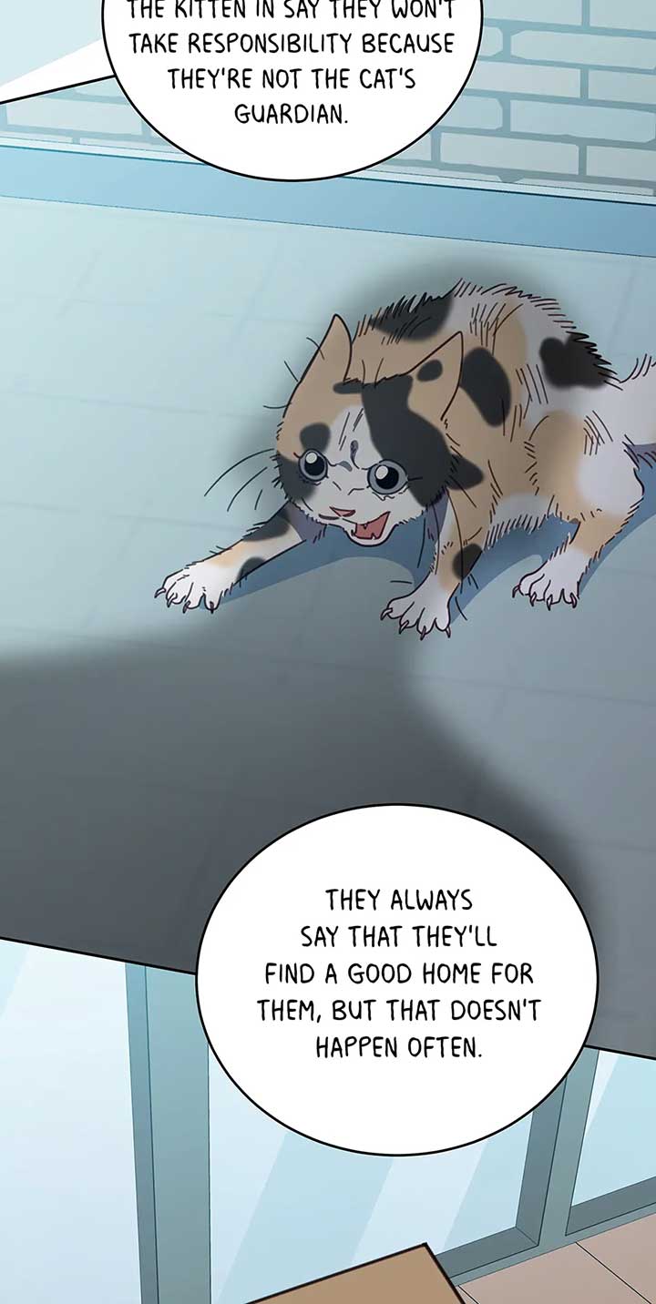 ch 118 50