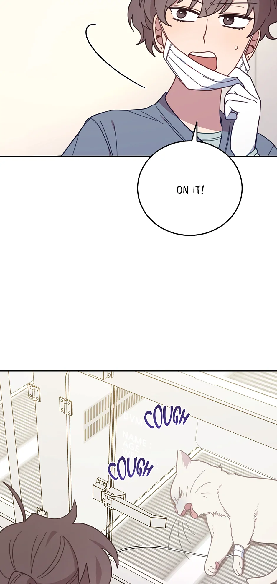 ch 146 4