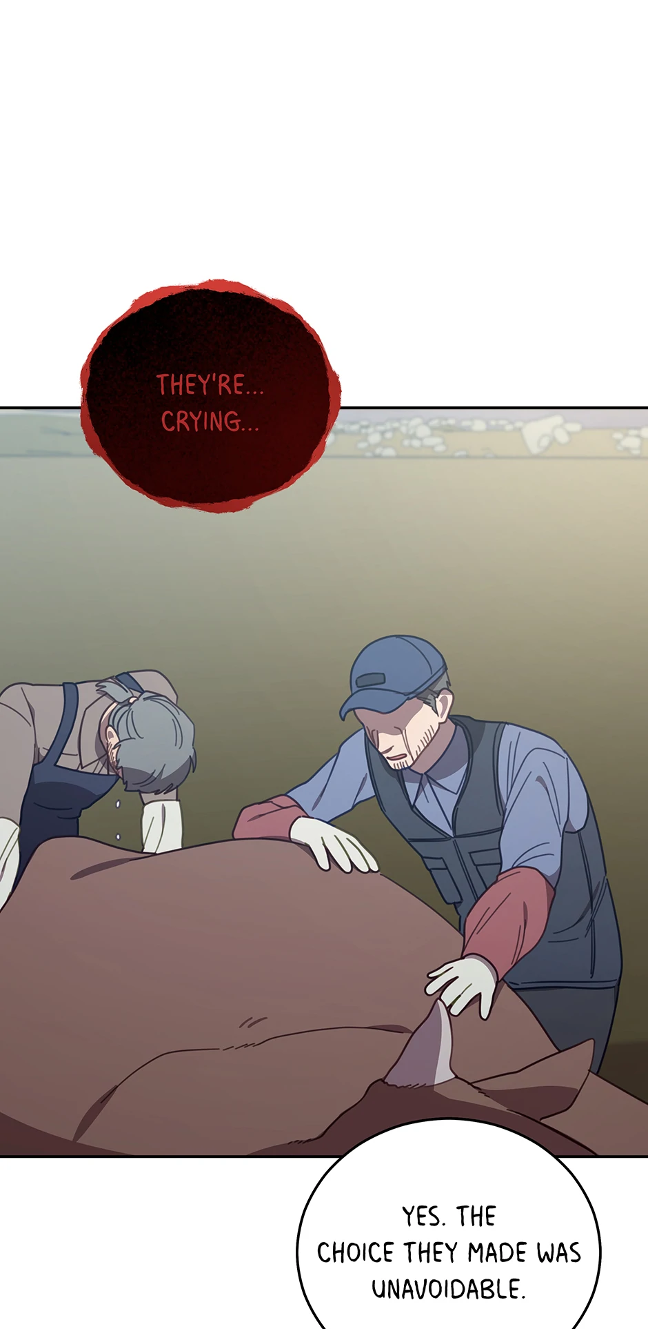 ch 146 51
